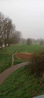 Hundeauslaufgebiet-Aggeraue-Bild