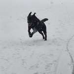 Ersteller:in Nadine Profilbild