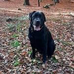 Ersteller:in Nadine Profilbild