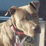 Ersteller:in Sabrina Profilbild