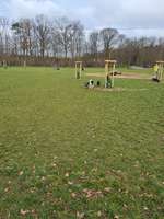 Hundeauslaufgebiet-Hundefreilauf Borken-Bild