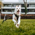 Ersteller:in Linda Profilbild