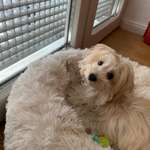 Ersteller:in Maritza Profilbild