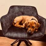 Ersteller:in Jarek Profilbild