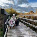 Ersteller:in Elisabeth Profilbild