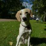 Suchmeldung-Aki-Bild