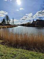 Hundeauslaufgebiet-Frankenwiese-Bild