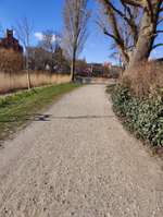 Hundeauslaufgebiet-Frankenwiese-Bild