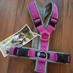 anny•x Geschirr XS-Beitrag-Bild