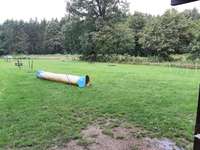 Hundeauslaufgebiet-Agility Platz-Bild