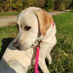 Ersteller:in Antonia Profilbild