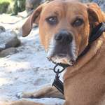 Ersteller:in Stefania Profilbild