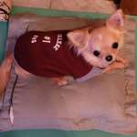 Ersteller:in Laura Profilbild