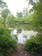 Hundeauslaufgebiet-Kiessee Marienhafe-Bild