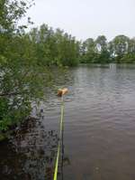 Hundeauslaufgebiet-Kiessee Marienhafe-Bild