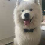 Ersteller:in Pia Profilbild