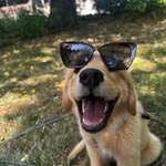 Ersteller:in Ann-Kathrin Profilbild