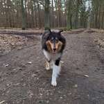 Ersteller:in Anna Profilbild