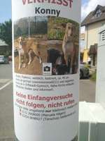 Suchmeldung-Konny-Bild