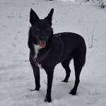 Ersteller:in Lotte Profilbild