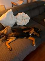 Unsicherheit - Wie die Selbstsicherheit stärken?-Beitrag-Bild