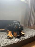 Unsicherheit - Wie die Selbstsicherheit stärken?-Beitrag-Bild