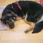 Ersteller:in Nadine Profilbild