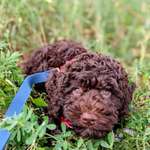 Ersteller:in Joana & Daniel Profilbild