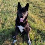 Ersteller:in Maike Profilbild