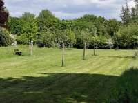 Hundeauslaufgebiet-Tackeloh-Bild