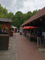 Hundeauslaufgebiet-Am Obersee-Bild