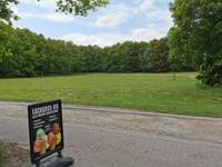 Hundeauslaufgebiet-Am Obersee-Bild