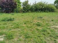 Hundeauslaufgebiet-Hundewiese Leopoldshöhe-Bild