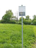 Hundeauslaufgebiet-Hundewiese an der Promenade-Bild