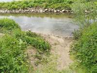 Hundeauslaufgebiet-Am Obersee-Bild
