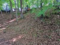 Hundeauslaufgebiet-Wald am Örkenweg-Bild