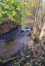 Hundeauslaufgebiet-Niemöller's Mühle-Bild