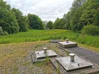 Hundeauslaufgebiet-Hundespielplatz/Hundewiese Stieghorst-Bild