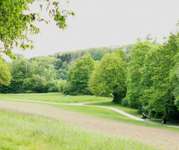 Hundeauslaufgebiet-Hundewiese an der Promenade-Bild