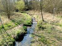 Hundeauslaufgebiet-Schildesche-Bild