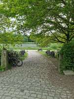 Hundeauslaufgebiet-Am Obersee-Bild