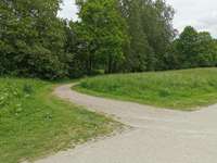 Hundeauslaufgebiet-Am Obersee-Bild