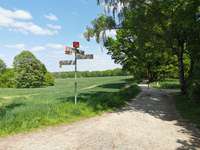 Hundeauslaufgebiet-Am alten Bahndamm-Bild