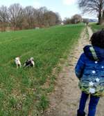 Hundeauslaufgebiet-Schildesche-Bild