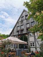 Hundeauslaufgebiet-Am Obersee-Bild