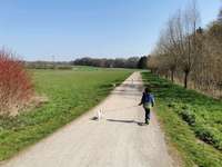 Hundeauslaufgebiet-Schildesche-Bild