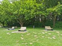 Hundeauslaufgebiet-Am Obersee-Bild