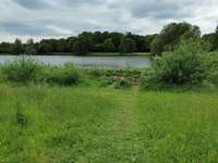 Hundeauslaufgebiet-Am Obersee-Bild