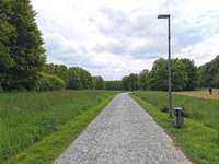 Hundeauslaufgebiet-Am Obersee-Bild