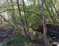 Hundeauslaufgebiet-Niemöller's Mühle-Bild